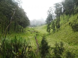 Potret Pendakian Gunung Lawu Via Candi Cetho
