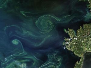 Indahnya Aurora Bawah Laut dari Luar Angkasa