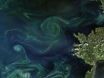 Indahnya Aurora Bawah Laut dari Luar Angkasa