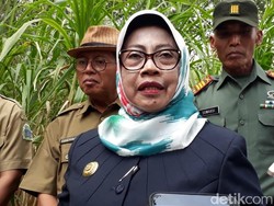 PAN Tanya Soal Statusnya di NasDem, Begini Jawab Bupati Badingah