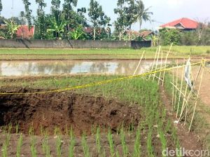 Lubang Besar di Sukabumi Melebar, Begini Solusi PVMBG Lubang Besar di Sukabumi Melebar, Begini Solusi PVMBG