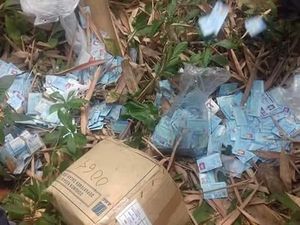 Penjelasan Disdukcapil Serang soal 2.800 KTP di Semak Belukar