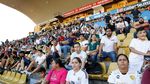 Maradona: Ola, Dorados!