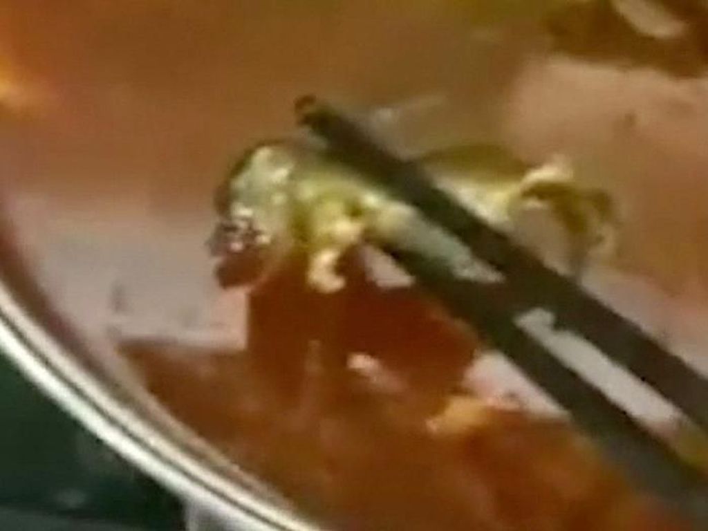 Hii..! Wanita Hamil Ini Temukan Tikus Mati di Dalam Supnya Hii..! Wanita Hamil Ini Temukan Tikus Mati di Dalam Supnya
