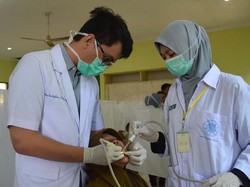 Kedokteran Gigi UGM Masuk Daftar Terbaik Dunia Versi WURI 2024