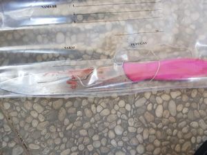 Ini Pisau Bernoda Darah yang Disita Polisi di Rumah Ella