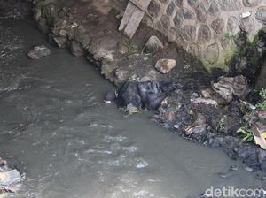 Warga Garut Desak KLHK Tuntaskan Horor Limbah Kulit