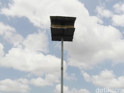 Perangi Hama Tikus, Pemkab Karawang Bangun Rumah Burung Hantu di Sawah