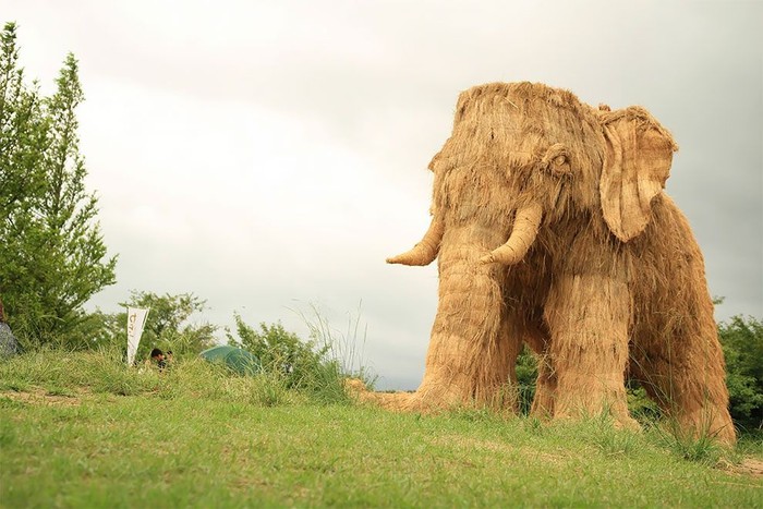 Tradisi Panen di Jepang, Petani Buat Karya Seni Dari Tumpukan Jerami Padi