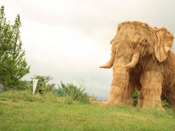 Tradisi Panen di Jepang, Petani Buat Karya Seni Dari Tumpukan Jerami Padi