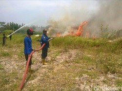 Ratusan Hektare Hutan di Mojokerto Terbakar, Ini Pemicunya