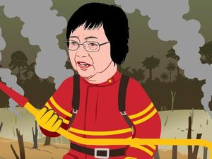 Ini Sebab KLHK Banyak Menangi Gugatan di Pengadilan