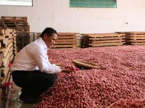 Pasokan Cabai dan Bawang Meningkat, Kementan: Harga Turun