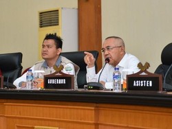 Riau Tak Hanya Kaya Migas dan Sawit, tapi Juga Sagu dan Kelapa