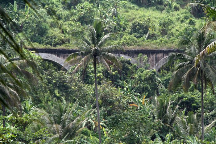 Jembatan Cipanerekean masih di jalur Banjar-Pangandaran-Cijulang. Pool/PT KAI.