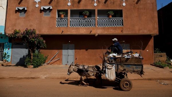 Foto: Keledai Unik Pengangkut Sampah dari Afrika