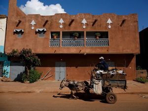 Foto: Keledai Unik Pengangkut Sampah dari Afrika