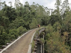 Ini Jalur Kereta Warisan Belanda di Jabar yang bakal Aktif Lagi