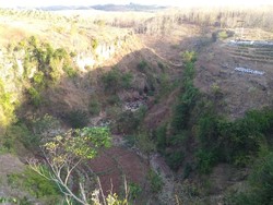 Kata Pelaku Wisata di Geopark Gunung Sewu Soal Peternakan Ayam