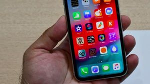 9 Alasan Pilih iPhone XR ketimbang iPhone XS