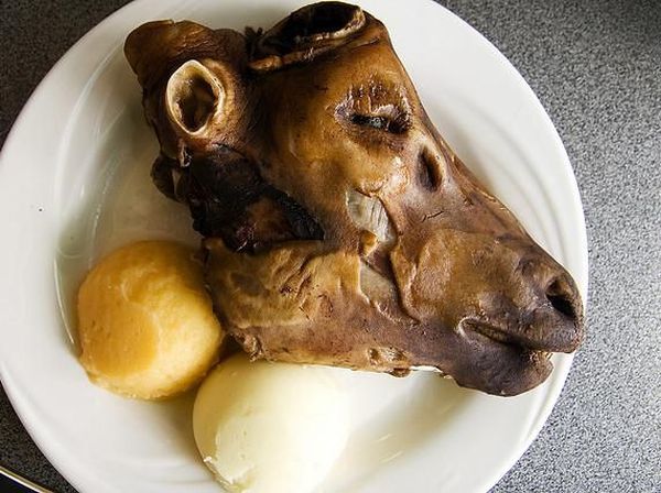 Daging Monyet hingga Kelelawar Rebus, Ini 10 Foto Masakan yang Bikin Mual