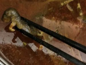 Ada Tikus Mati dalam Sup, Nilai Restoran China Merosot Rp 2,8 T