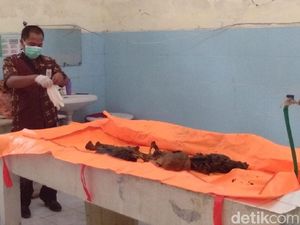 Heboh, 2 Pemancing di Lamongan Temukan Tulang dan Tengkorak Manusia