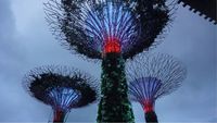 4 Destinasi Muslim Friendly yang Wajib Dikunjungi di Singapura