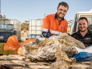 Temuan Emas Besar Rp 158 Miliar Picu Antusiasme di Australia Barat