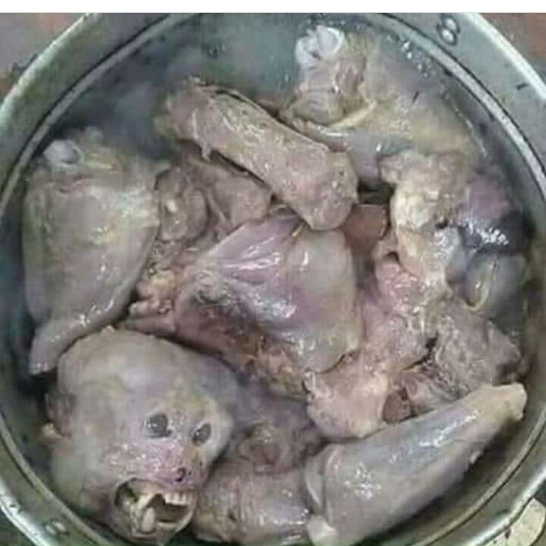 Ilustrasi masakan daging monyet