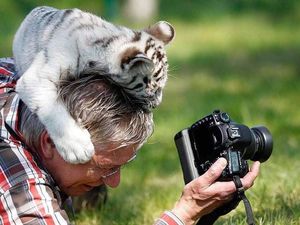 Foto-foto Lucu Saat Fotografer Satwa Liar Diganggu Hewan Foto-foto Lucu Saat Fotografer Satwa Liar Diganggu Hewan