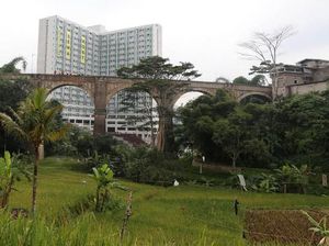 Jalur Mau Dihidupkan, Naik Kereta dari Bogor Bisa Tembus Bandung Jalur Mau Dihidupkan, Naik Kereta dari Bogor Bisa Tembus Bandung