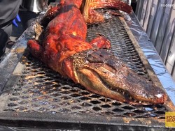 Ada Buaya Panggang Utuh hingga Cara Siswa Korea Hindari Wajib Militer