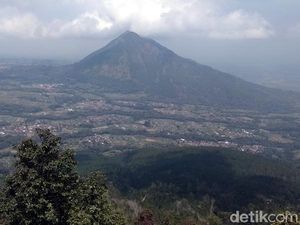 Foto: Kesejukan Telomoyo yang Eksotis