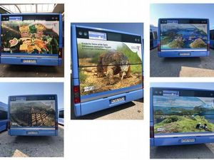 Bus Iklan Wisata Indonesia Berseliweran di Munchen Jerman