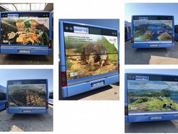 Bus Iklan Wisata Indonesia Berseliweran di Munchen Jerman