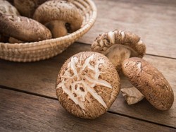 Jadi Alternatif Daging, Jamur Punya Rasa Umami Yang Enak