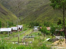 Kampung-kampung Unik di Pegunungan Papua Barat