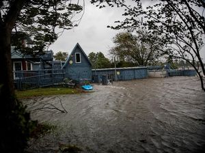 Badai Florence Terjang AS, Atap Rumah Terbang dan Pohon Tumbang Badai Florence Terjang AS, Atap Rumah Terbang dan Pohon Tumbang