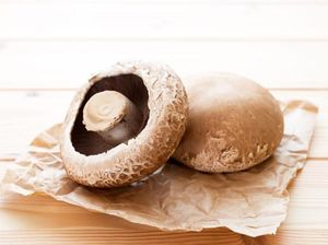 Konsumsi Jamur Mampu Cegah Risiko Kerusakan Otak