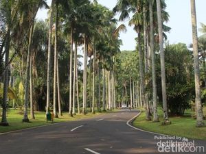 Minggu Besok ke Bogor Yuk, ke Oase Menyejukkan Ini