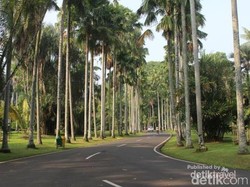Minggu Besok ke Bogor Yuk, ke Oase Menyejukkan Ini