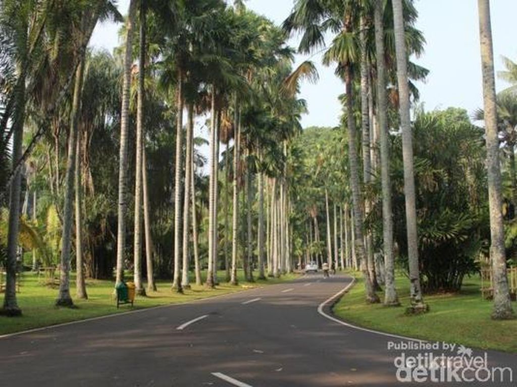 Minggu Besok ke Bogor Yuk, ke Oase Menyejukkan Ini Minggu Besok ke Bogor Yuk, ke Oase Menyejukkan Ini