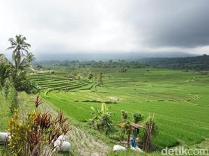 Penjelasan Polri soal Penertiban Retribusi Parkir Wisata di Bali
