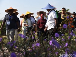Risma Ajak Delegasi UCLG Tanam Pohon di eks TPA Keputih