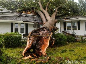 Kerusakan Akibat Badai Florence di AS