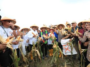 Kemendes PDTT Dukung Bengkulu Selatan Kembangkan Prukades Jagung