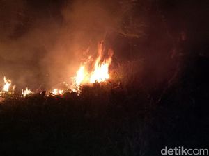 Kebakaran Terjadi di Hutan Jati Cilacap