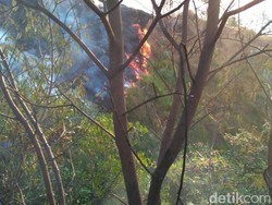Kebakaran Masih Berkobar di Hutan Gunung Sumbing