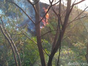 Kebakaran Masih Berkobar di Hutan Gunung Sumbing Kebakaran Masih Berkobar di Hutan Gunung Sumbing